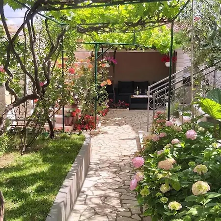 Apartment Oliva Pula